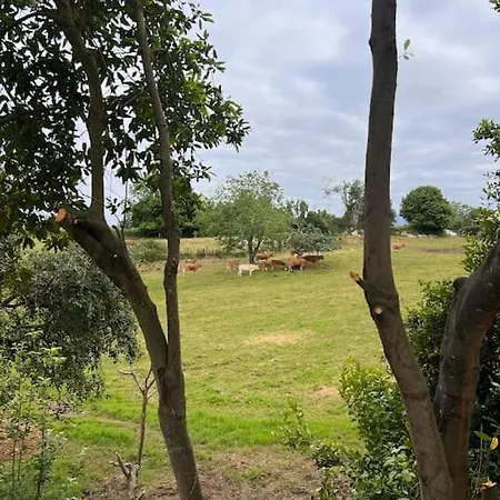 Casona A 1km De La Playa De Gerra La Revilla (San Vicente de la Barquera)