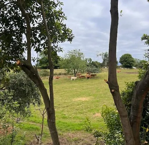Casona Tipica Cantabra Cerca De La Playa De Gerra La Revilla (San Vicente de la Barquera)